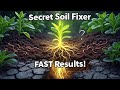 This SECRET Plant Has A Record in Fixing Dead Soil Fast