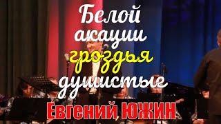 «Белой акации гроздья душистые» (В. Баснер-М. Матусовский). Поёт Евгений Южин