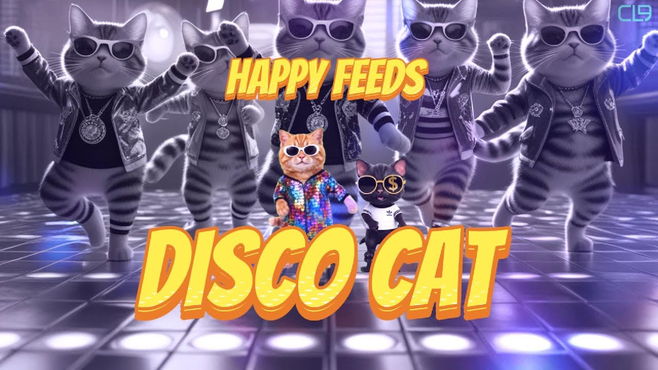Watch DISCO CAT ! - HAPPY FEEDS on YouTube Watch DISCO CAT ! - HAPPY FEEDS on YouTube