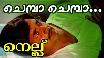 Chemba Chemba... | Superhit Malayalam Movie | Nellu | Movie Song