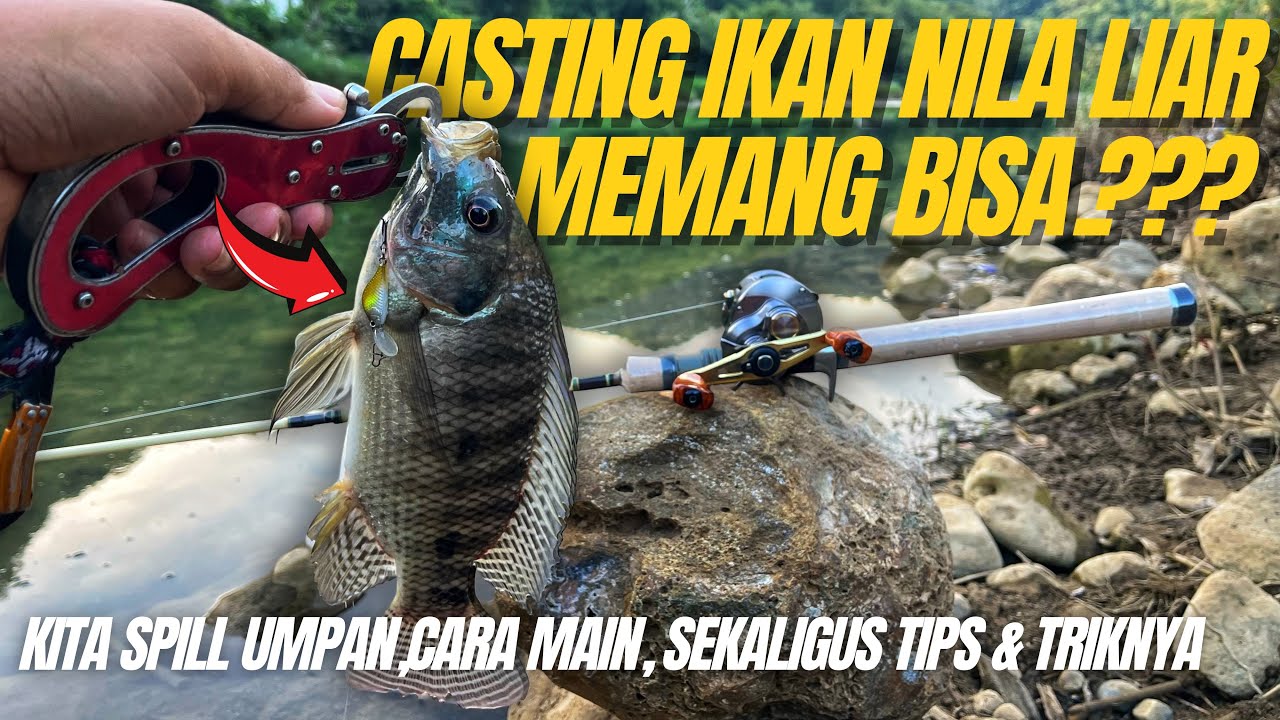 CASTING IKAN NILA😱‼️MEMANG BISA⁉️INI TIPS & TRIKNYA || STRIKE SAMPAI TAS KRESEK PENUH‼️😍MANTAP