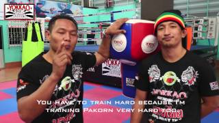 Saenchai And Pakorn Leave A Message To Liam Harrison Before Yokkao 13