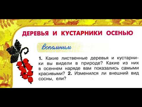 Окружающий мир 2 класс, Перспектива, с.78-81, тема урока «Деревья и кустарники осенью»