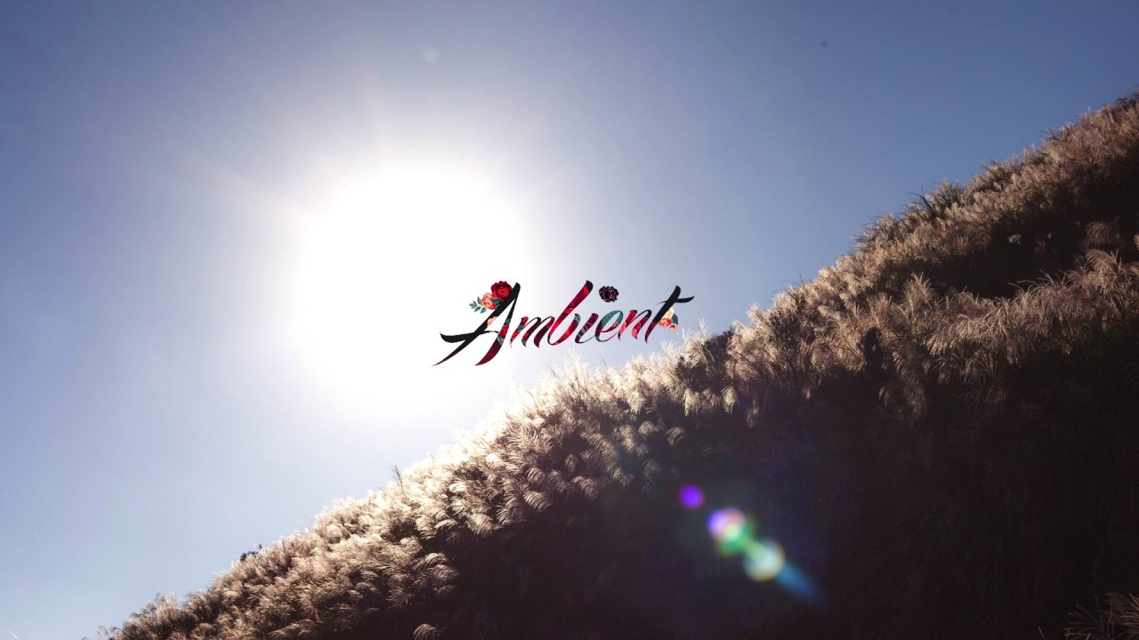 Runar Blesvik - Emergence