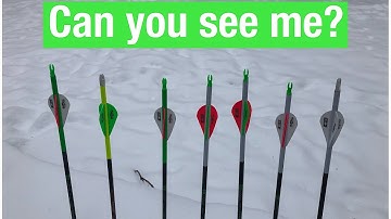 My favorite arrow wrap and fletching color combination