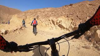 ROSCOE  7 uphill & downhill rides jubaylah KSA