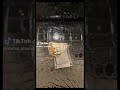خبراء في صناعة السلاسل و الخواتم الفضة مع جميع الأحجار الكريمة للتواصل عبر الواتس اب 0557835320 خبراء في صناعة السلاسل و الخواتم الفضة مع جميع الأحجار الكريمة للتواصل عبر الواتس اب 0557835320