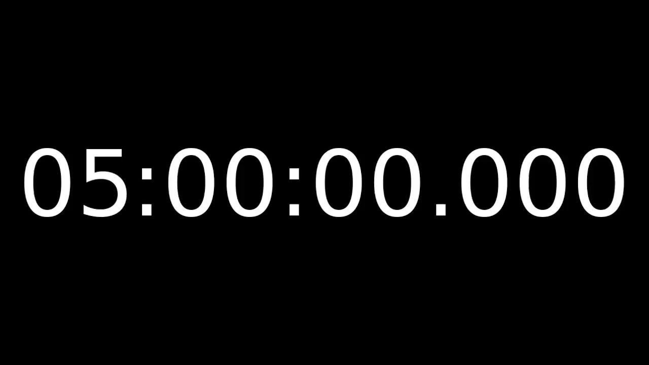 5 Hour Countdown Timer with Milliseconds