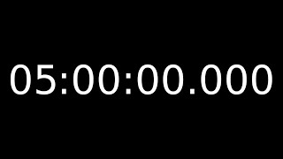 5 Hour Countdown Timer with Milliseconds 5 Hour 60fps Millisecond Timer