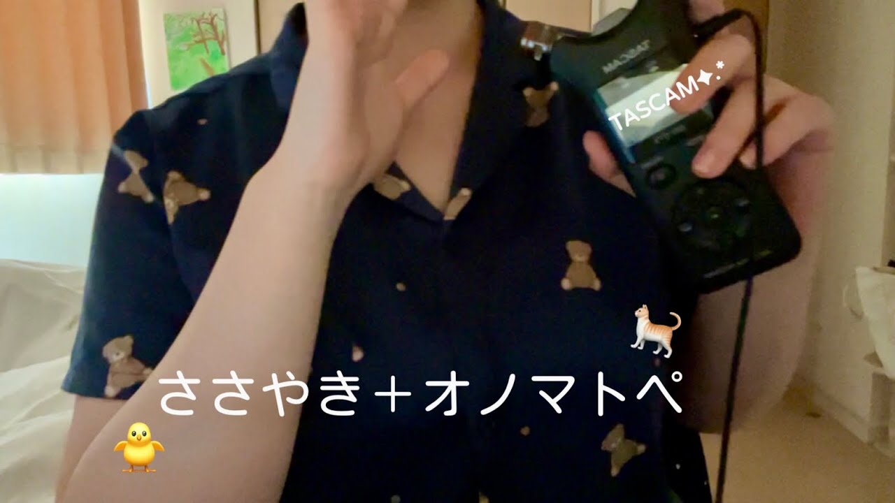 ASMR 眠くなる雑談とオノマトペ🐈