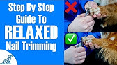 Unit#4 Calming Signals Panicked Dogs - YouTube
