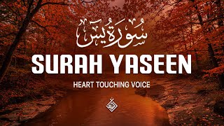 : Surah Yasin (Yaseen)   | Soft Verses to Heal Your Worries and Fears | Al-Taqwa TV
