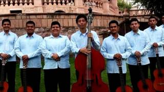 Video thumbnail of "Coco Rayado - Rondalla Voces Huastecas"