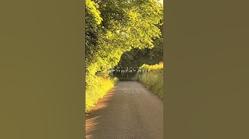 أجمل تلاوة لشيخ ماهر المعيقلي آية الكرسي #قرآن #قران_كريم #الشيخ #آية_الكرسي #shortvideo