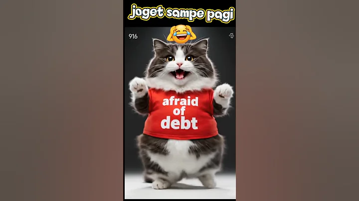 Video 10863521: british shorthair cat dancing, fat british shorthair cat, funny cat british shorthair, uk british, cats catlover kucing, hilarious cats compilation uk