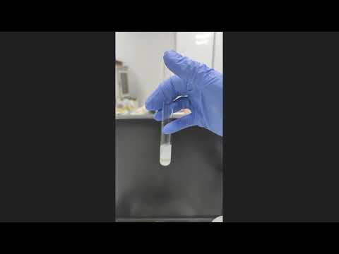 Выделение ДНК растительной ткани методом фенол-хлороформной экстракции