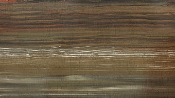 Wood Grain – Combing V1.0