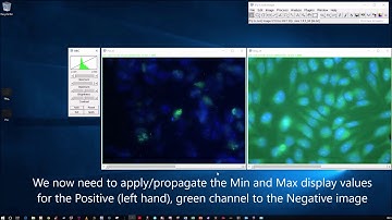 How to show images with the same display values in ImageJ