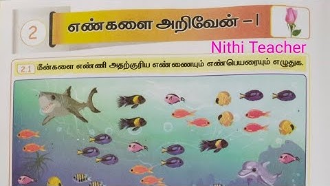 2nd std maths Mottu term 2 unit 2 எண்களை அறிவேன் - 1 maths work book ans key pg no 2-8 class 2 2025
