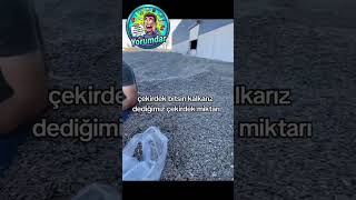 YOKSA ONLAR!!!#yorumdar #shorts #keşfet #komik #komikvideolar #efsaneyorumlar #türkçeshorts #eğlence