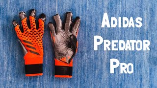 Goalkeeper Glove Review: adidas Predator Pro | 2024
