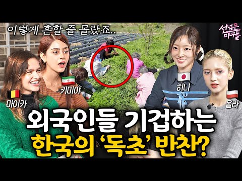 전 세계에서 오직 한국인만 쌓아놓고 먹는다는 것들ㅣ선넘은 <strong>미녀들</strong> EP. 5