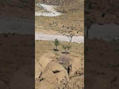 لا حول ولقوة إلا بالله العضيم الناس ديال سوس كيسدو الأبر لرحال