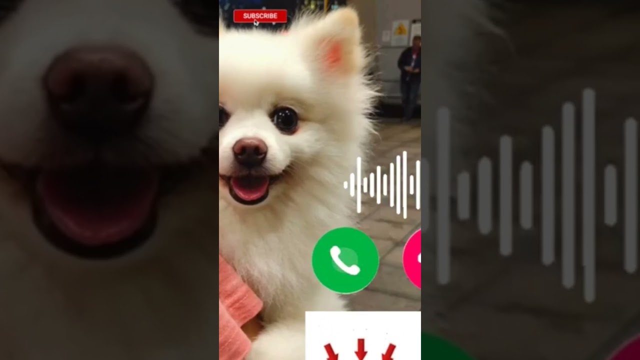 Ringtone massage tone cute ringtone YouTube