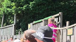 Vrij Vlucht Demonstratie Zoo Planckendael Mei 2026