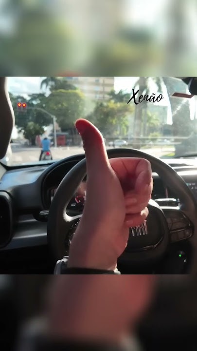 Acelerador anti burros dos carros