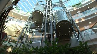 Celebrity P+S lift buffers "G-series" certified acc. to EN 81-1/2 and for NON-EU purposes Wealth