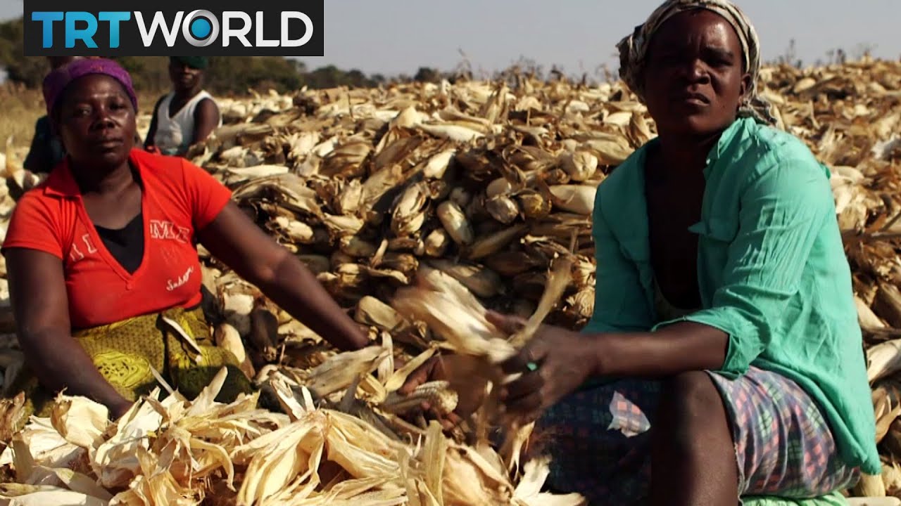 Zimbabwe land grab dispute YouTube