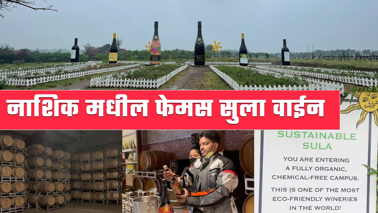 नाशिक मधील फेमस सुला वाईन Sula Wines Nashik Sula Vineyard Tour And