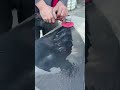 Stone Grinding Process | Diamond Polishing Pad Surface Finishing