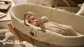 The Little Green Sheep - The best for baby