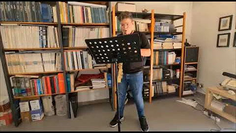 gabriel's oboe mauro