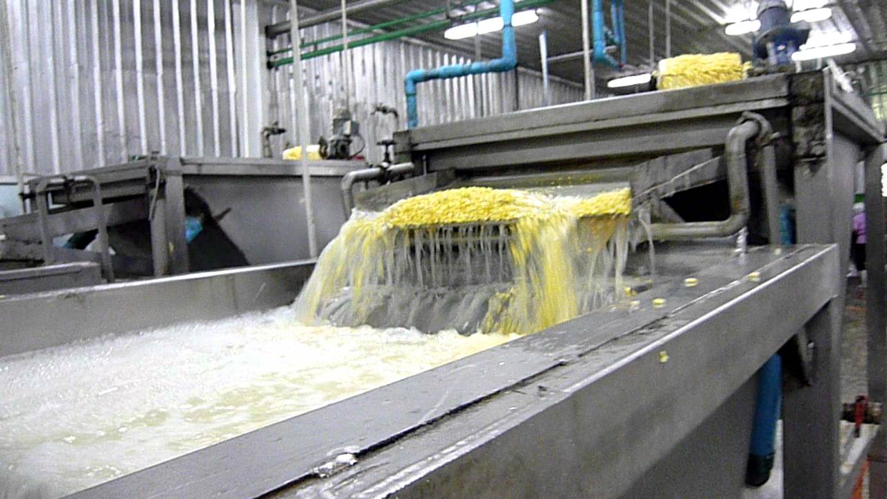 Flotation washer sweet corn YouTube