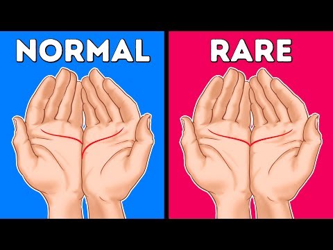 Video: What Can Male Hands Tell?