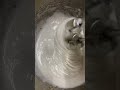 مارشميلو فانيليا   