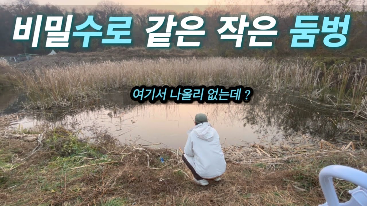 🗯️비밀수로 같은 작은 둠벙 !! 어떤 고기가 나올지 궁금합니다 이좁은 공긴에서   ⁉️⁉️🗯️