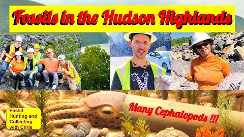Fossils in the Hudson Highlands, Fossil Hunting and Fossil Collecting with Chris. Cephalopods