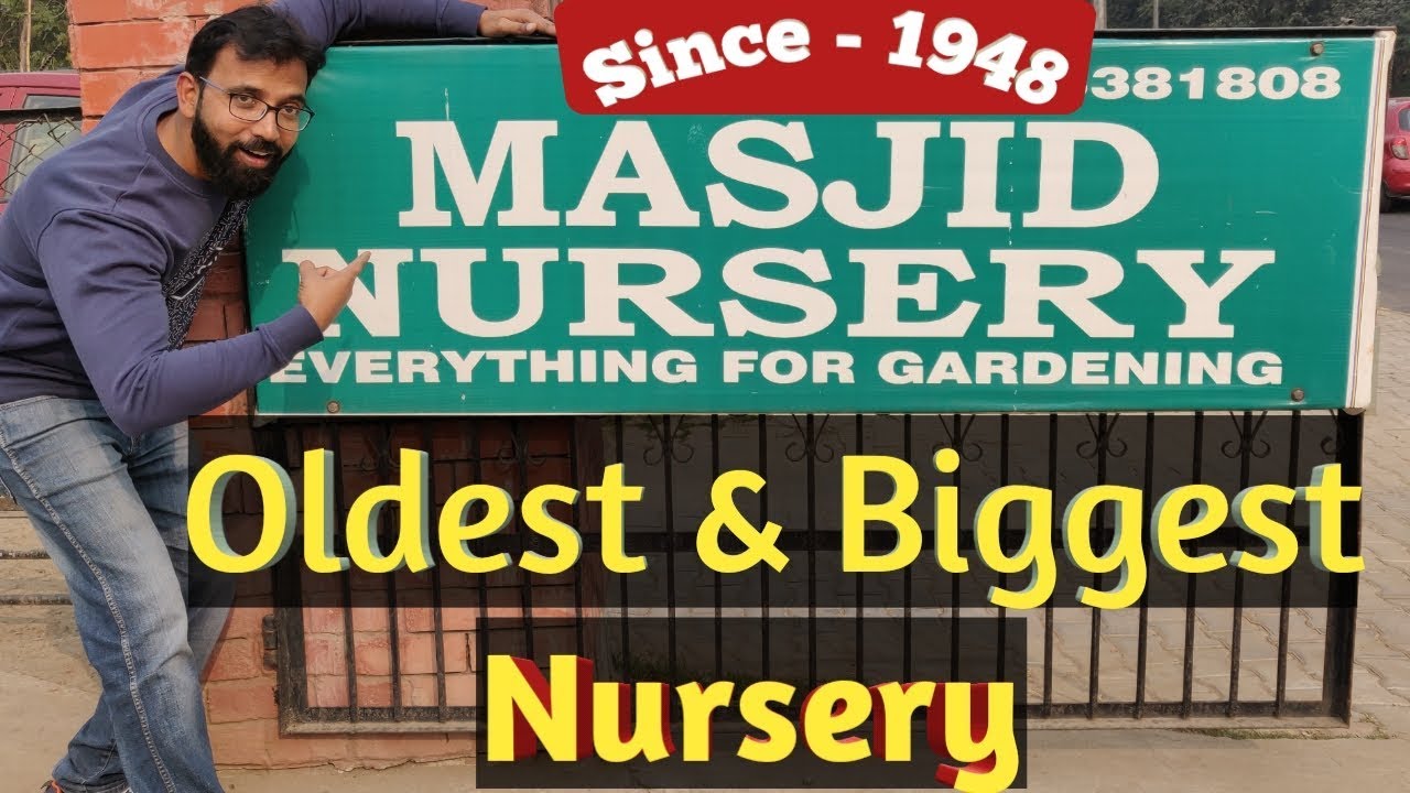 Oldest The Biggest Nursery Of Delhi 75 Year Old Plant Nursery