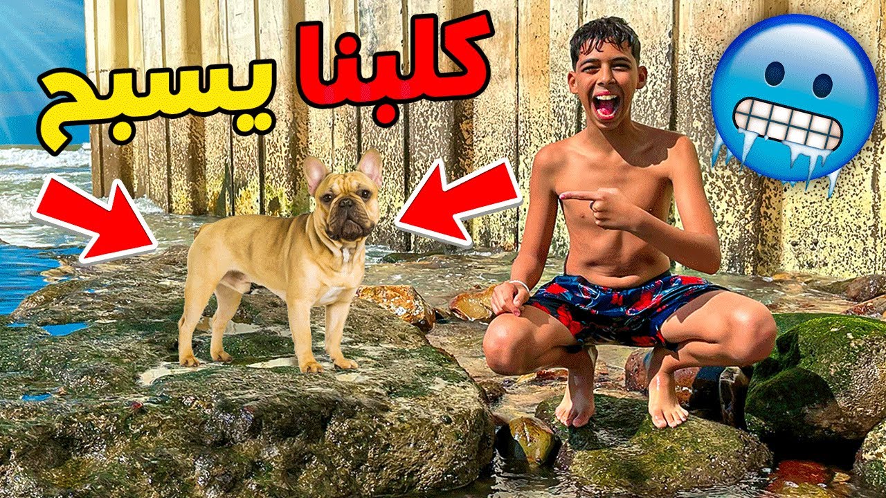 و أخيرا لأول مرة كلبنا الجديد يجرب السباحة 🐶👑 كان غادي يغرق لينا 💔😱