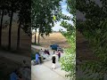 有人说四季轮回像极了人的一生 少年 青年 中年 老年 可是四季有轮回 人无再少年 老家的一年四季 你最喜欢哪个季节呢 农村生活 乡愁记忆 四季轮回 有人说四季轮回像极了人的一生 少年 青年 中年 老年 可是四季有轮回 人无再少年 老家的一年四季 你最喜欢哪个季节呢 农村生活 乡愁记忆 四季轮回