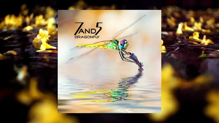 Be Lifted Higher // 7and5