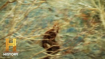 Bigfoot Encounter Leaves Man in Shock | The Proof Is Out There | Exclusive (Season 2) | History