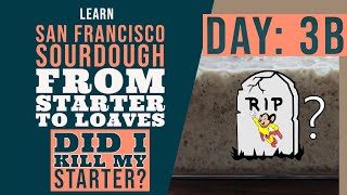 San Francisco Sourdough Bread Series: Day 3b - Did I just kill my starter!?