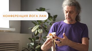 «Гомеопатическая йога ЛАМ»: принципы, инструменты, области применения | Андрей Лобанов