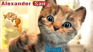 ПРИКЛЮЧЕНИЕ МАЛЕНЬКОГО КОТЕНКА мультик игра КАК КОТ В САПОГАХ симулятор маленького котенка ПРИКЛЮЧЕНИЕ МАЛЕНЬКОГО КОТЕНКА мультик игра КАК КОТ В САПОГАХ симулятор маленького котенка