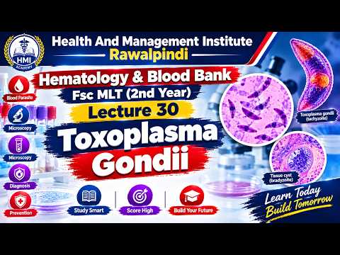Toxoplasma gondii Explained  | Hematology & Blood Bank | FSc MLT 2nd Year | Lecture 30 | HMI Academy